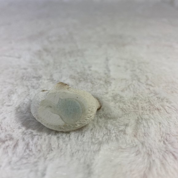 Vintage Stone Seal Mini Figure UDC ( United Design Corp) 1996 Figurine 1/2" Tall - Picture 4 of 4